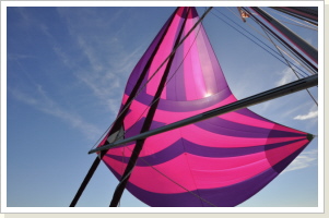 neuer Spinnaker 2019 neuer Spinnaker 2019