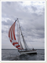 Dornbusch Race 2020 Dornbusch Race 2020